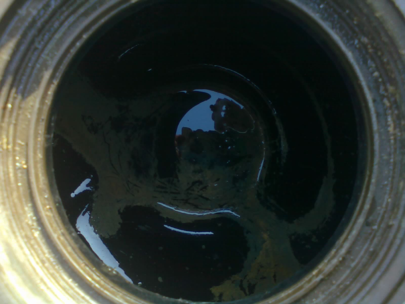Looking down into the tank, the bottom of which was coated in slime